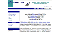Desktop Screenshot of megalodonteeth.com