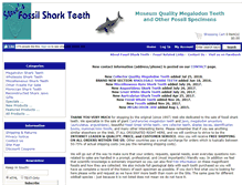 Tablet Screenshot of megalodonteeth.com
